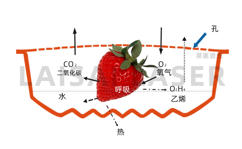 氣調果蔬保鮮打孔 激光打孔??氣調果蔬保鮮包裝運用方案(圖3)