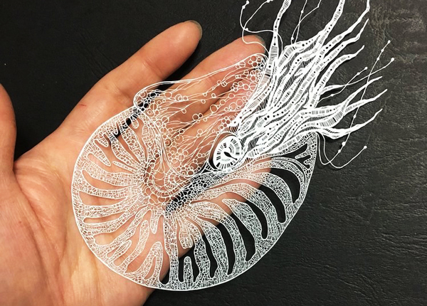 激光切割銅板紙1 假睫毛激光切割工藝探析(圖1)